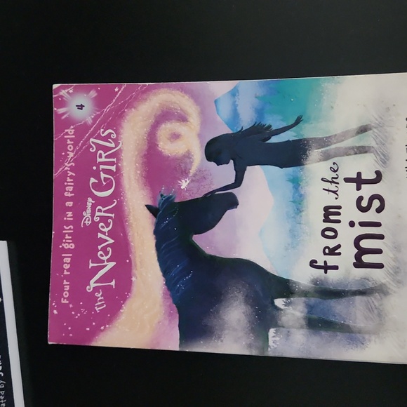 The Never Girls books , set of 4 - Picture 6 of 6